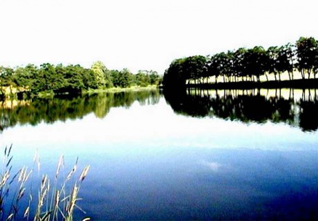 pilský rybník