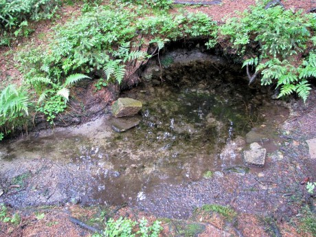 Studánka Benetice u Světlé