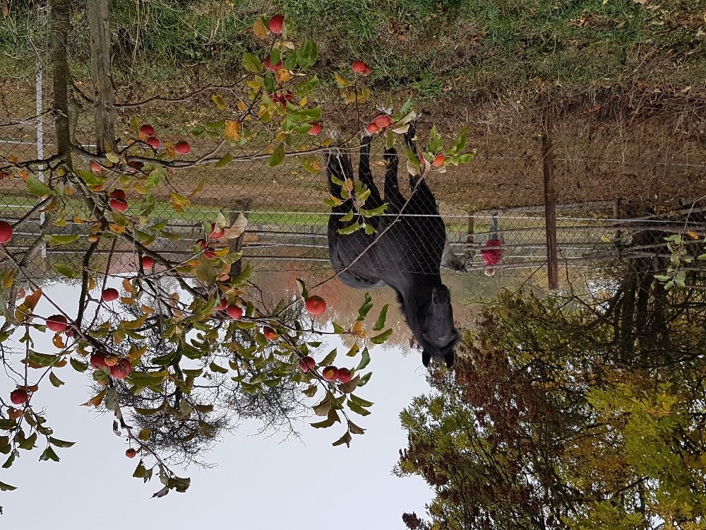 20181020_105346